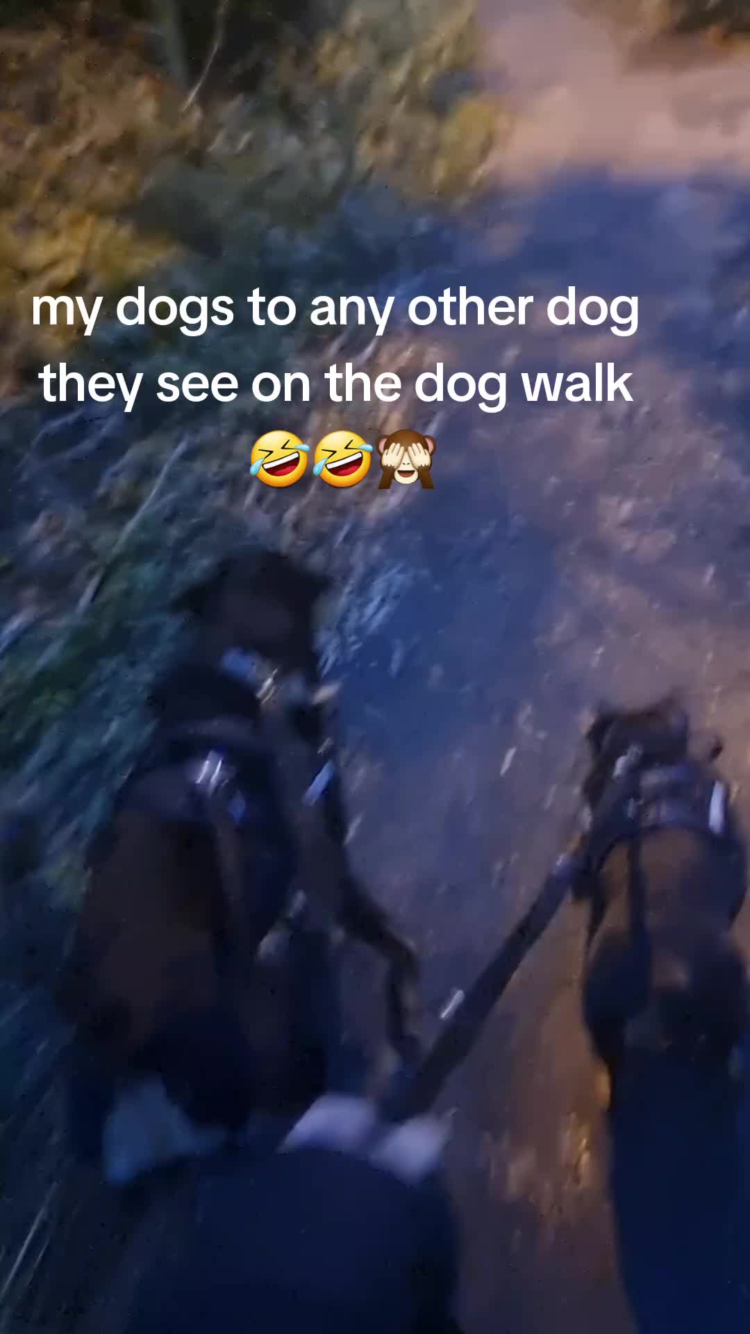 @Patti and Bella 🐾❤️🐶