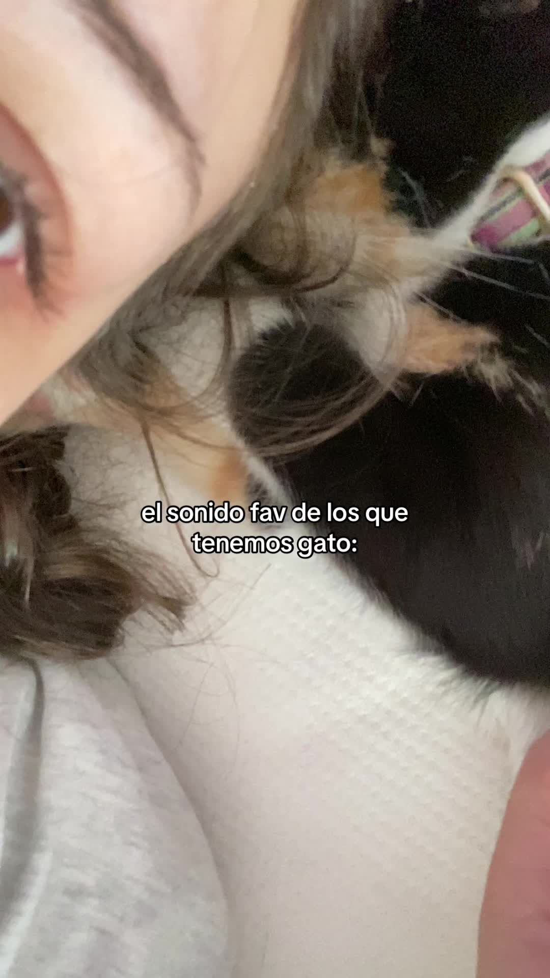 @karlaarboledas