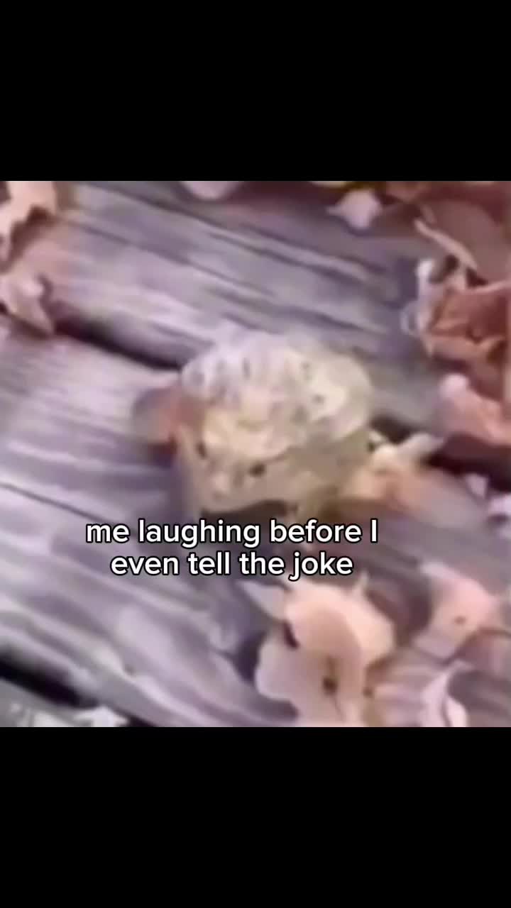 @✮ 𝓙𝓪𝓼𝓶𝓲𝓷