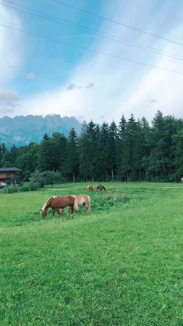 @lunasnowie1