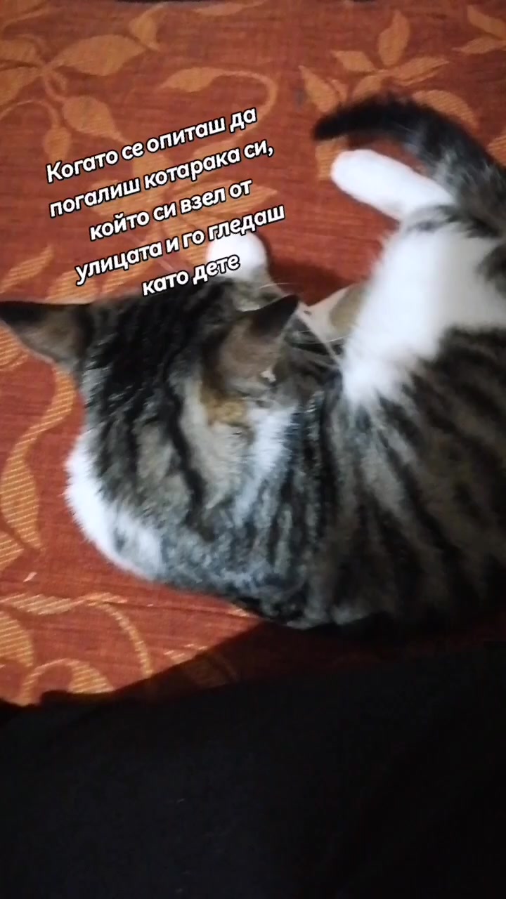 @svetlio808