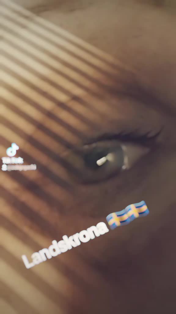 @Gashi🇸🇪Pejë🇦🇱