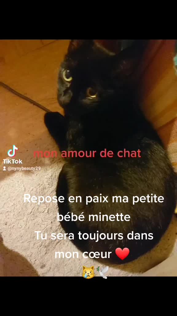 @Fanny