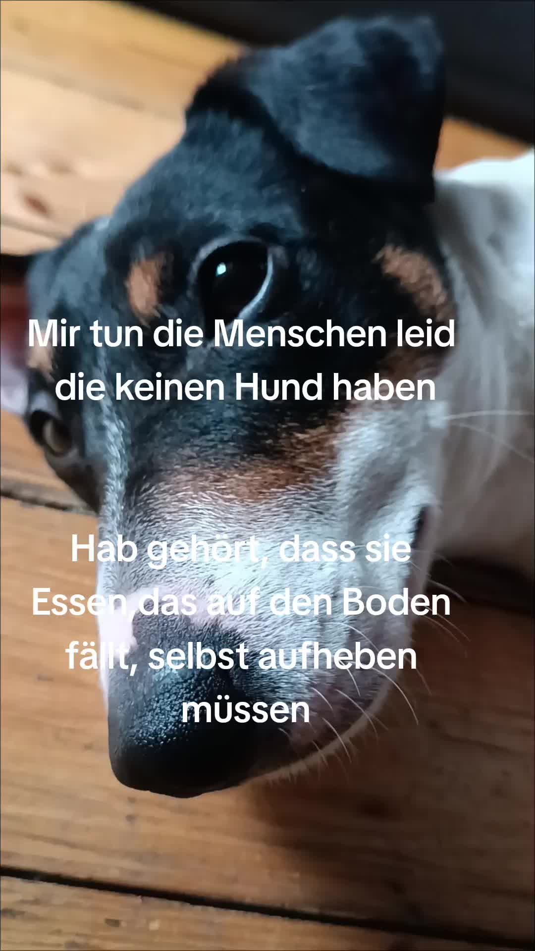 @jackbulli