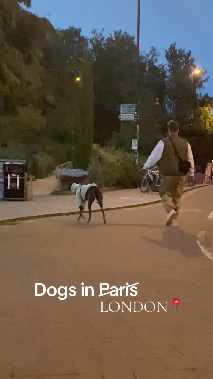 @dogs in Paris 🐶
