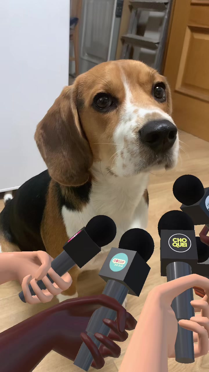 @biggieelbeagle