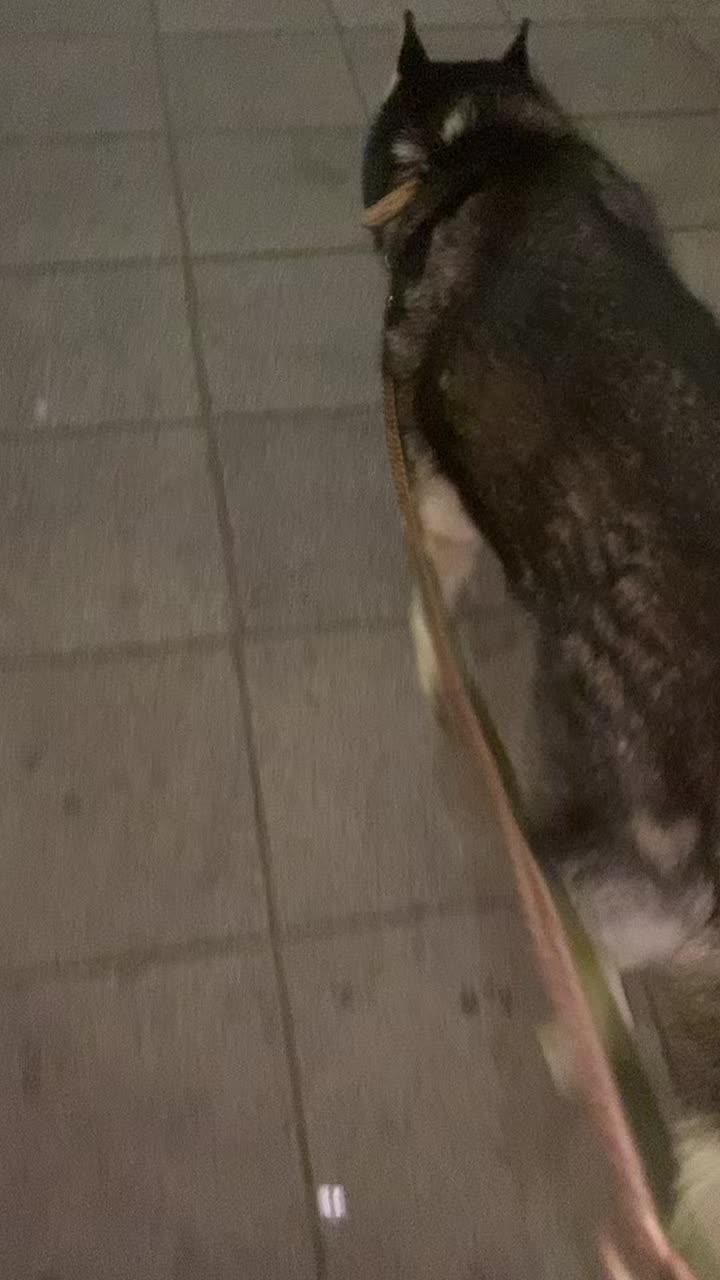 @Neli Káli, 🥰