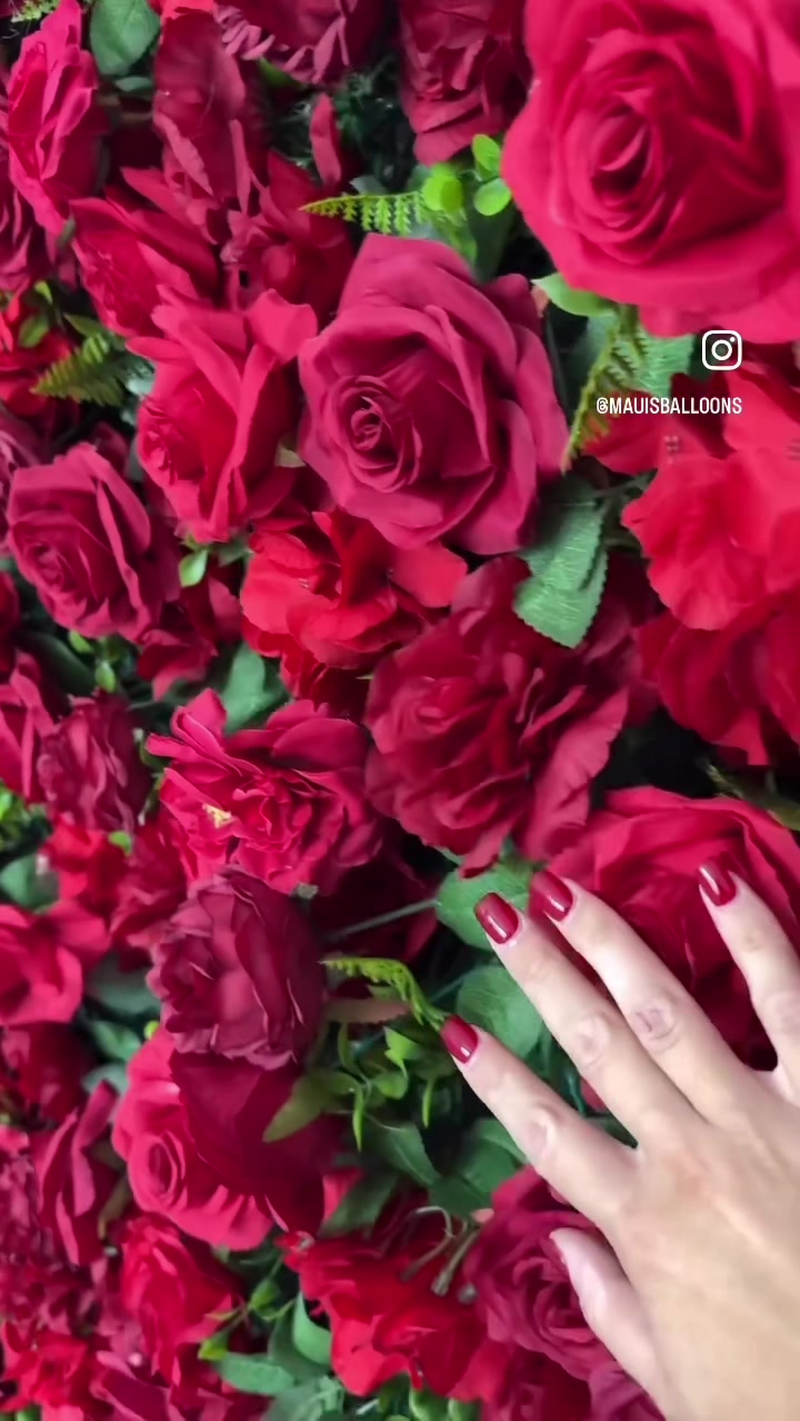 @Evelinakozyra