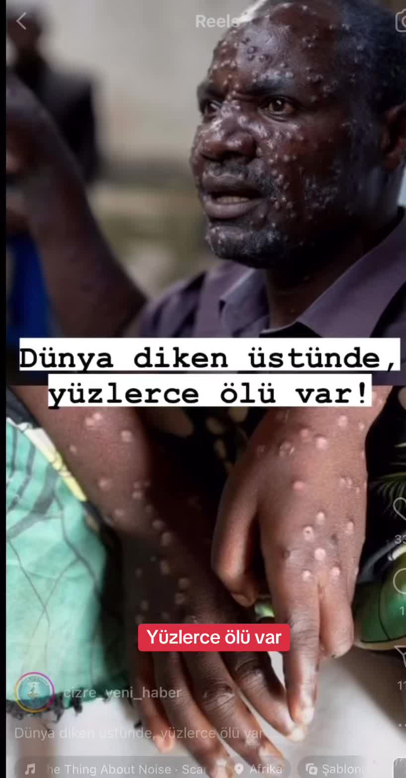 @🧭💎ROTASIZ💎🧭