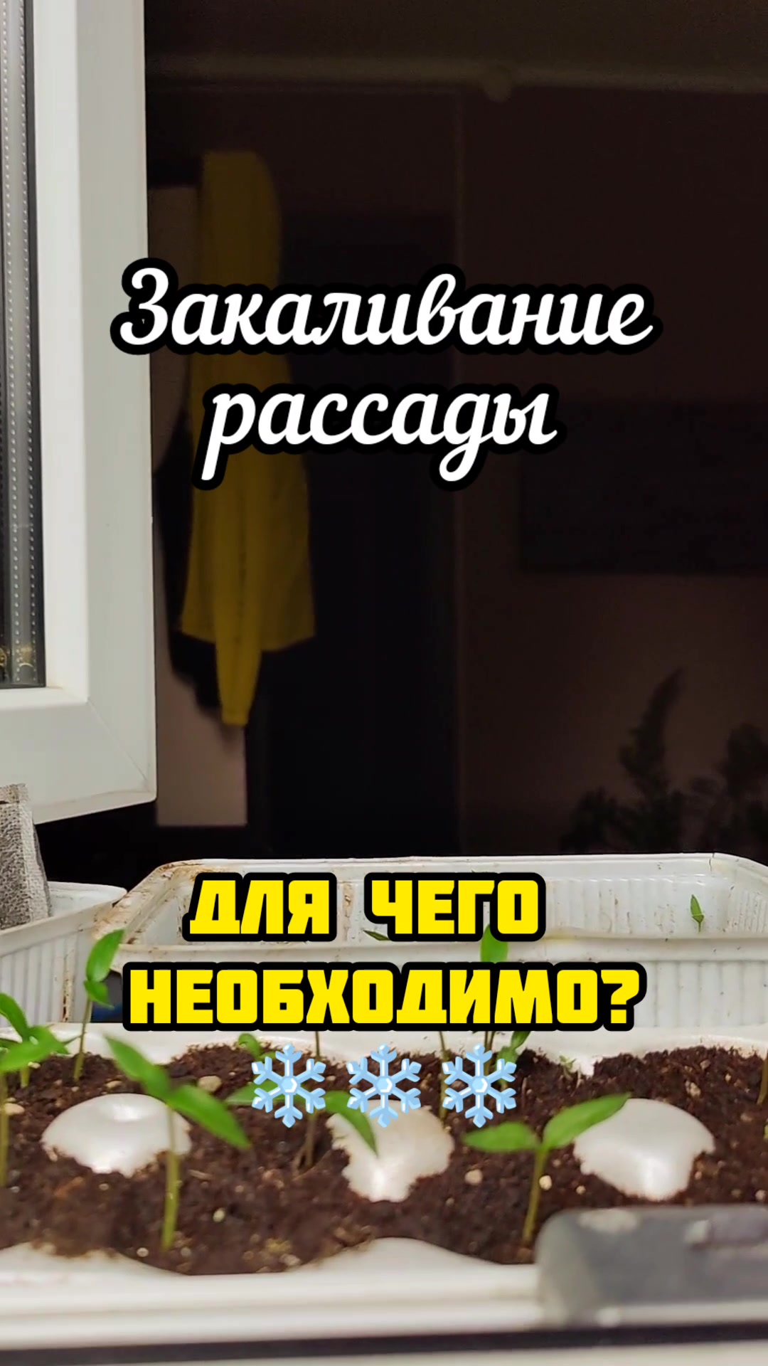 @Sad