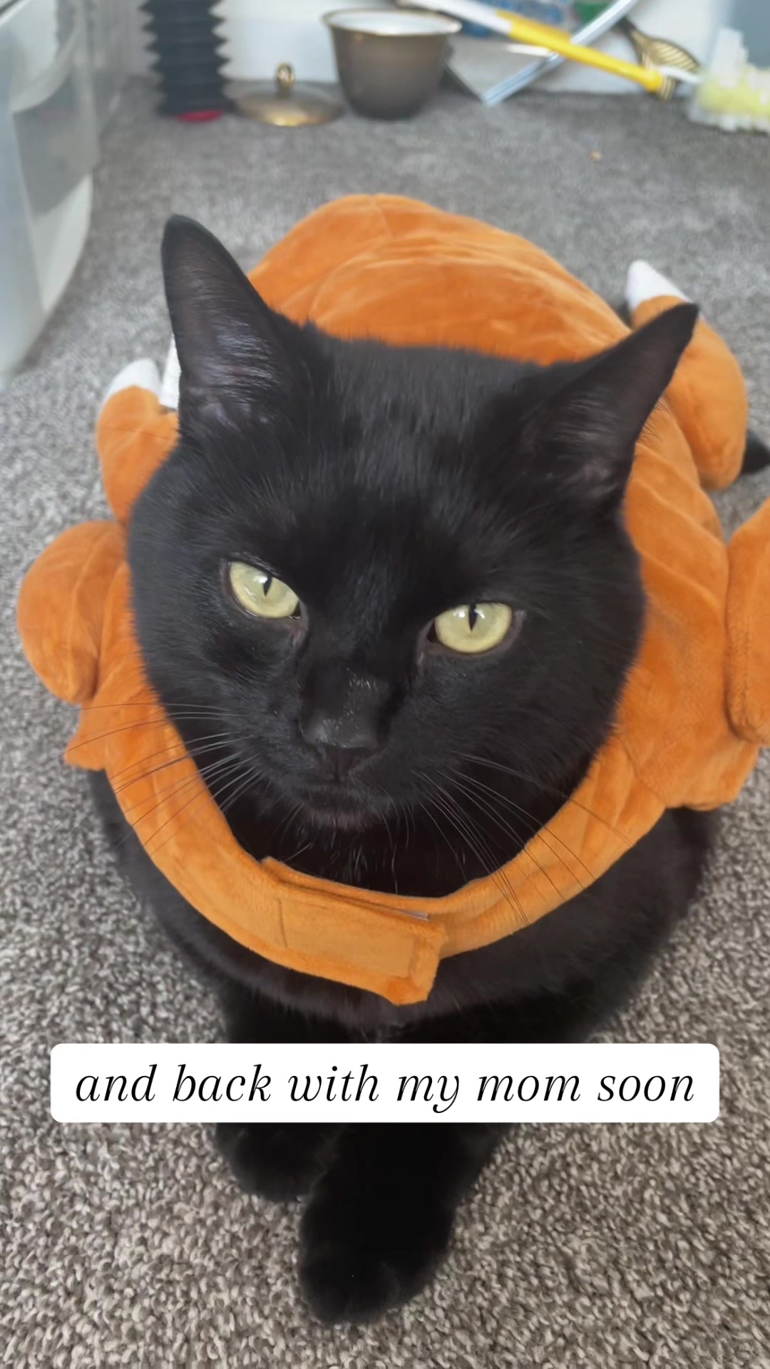 @Jasper