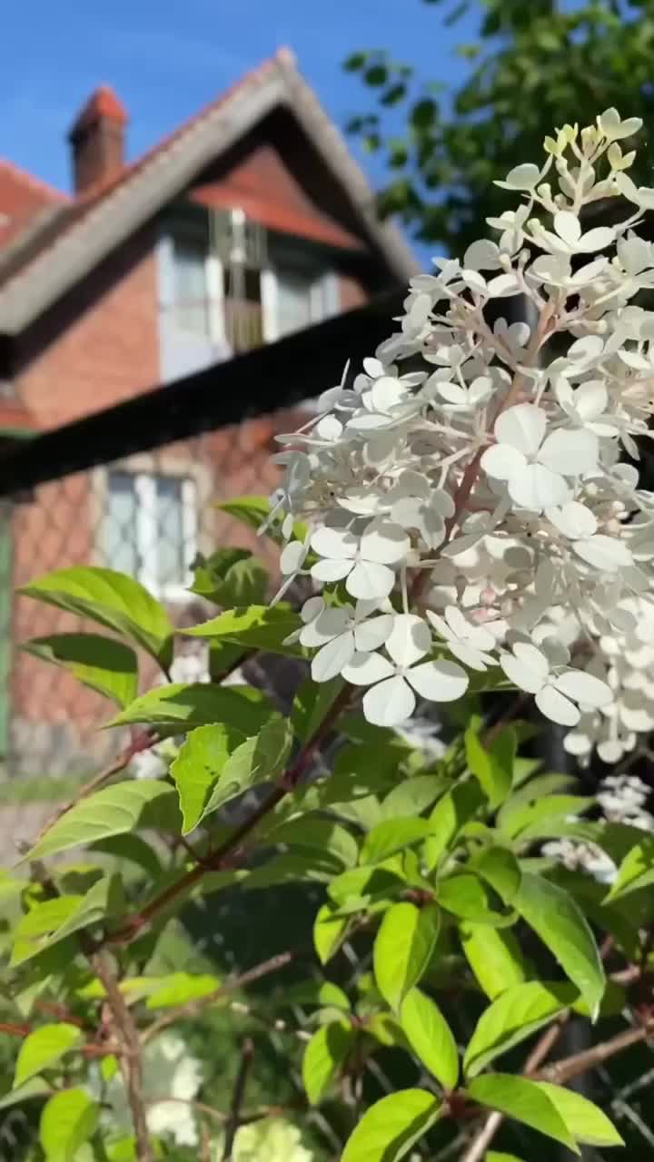 @_Dom_w_kadynach