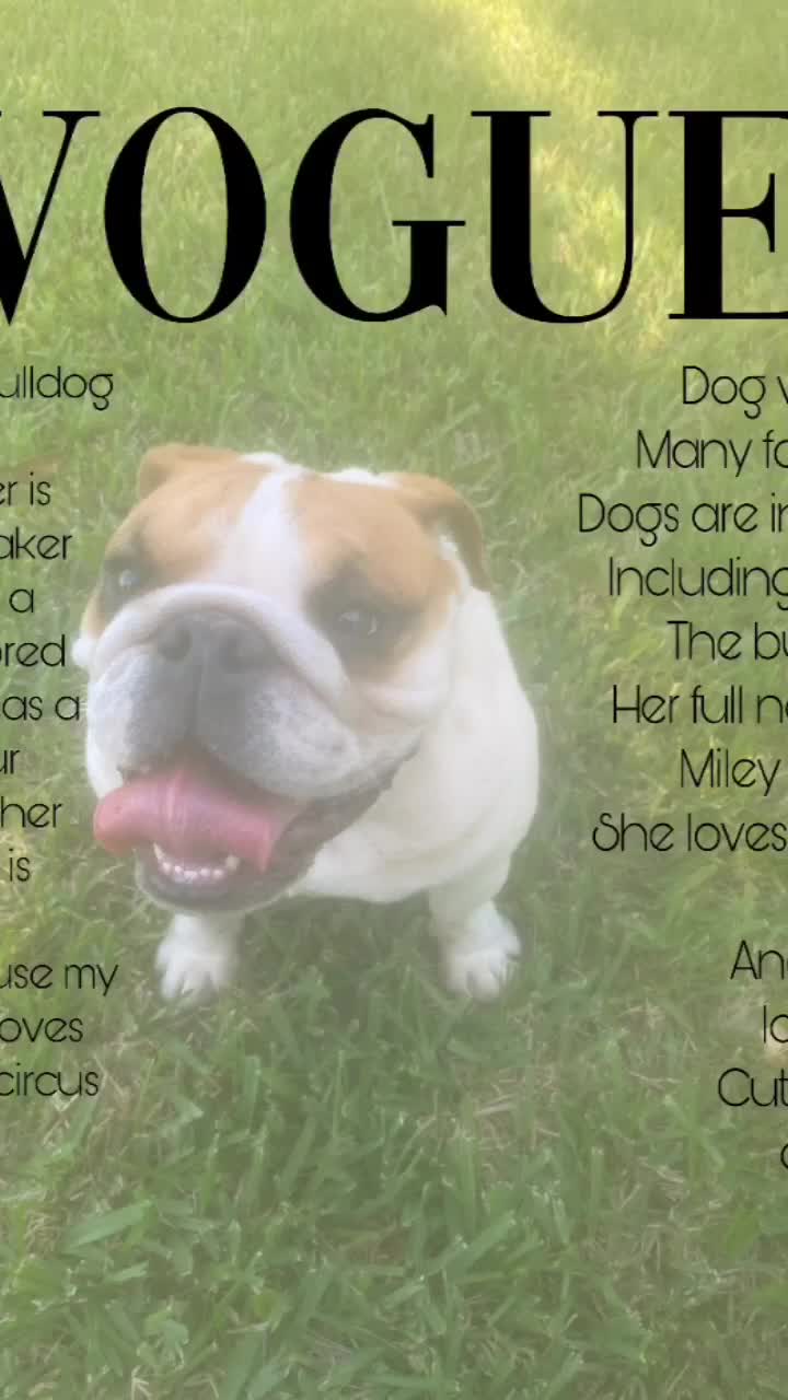 @Miley 🐾🥺❤️