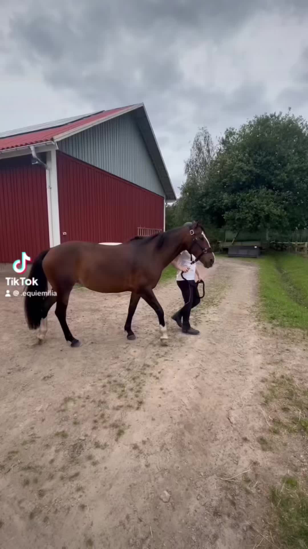 @emilia