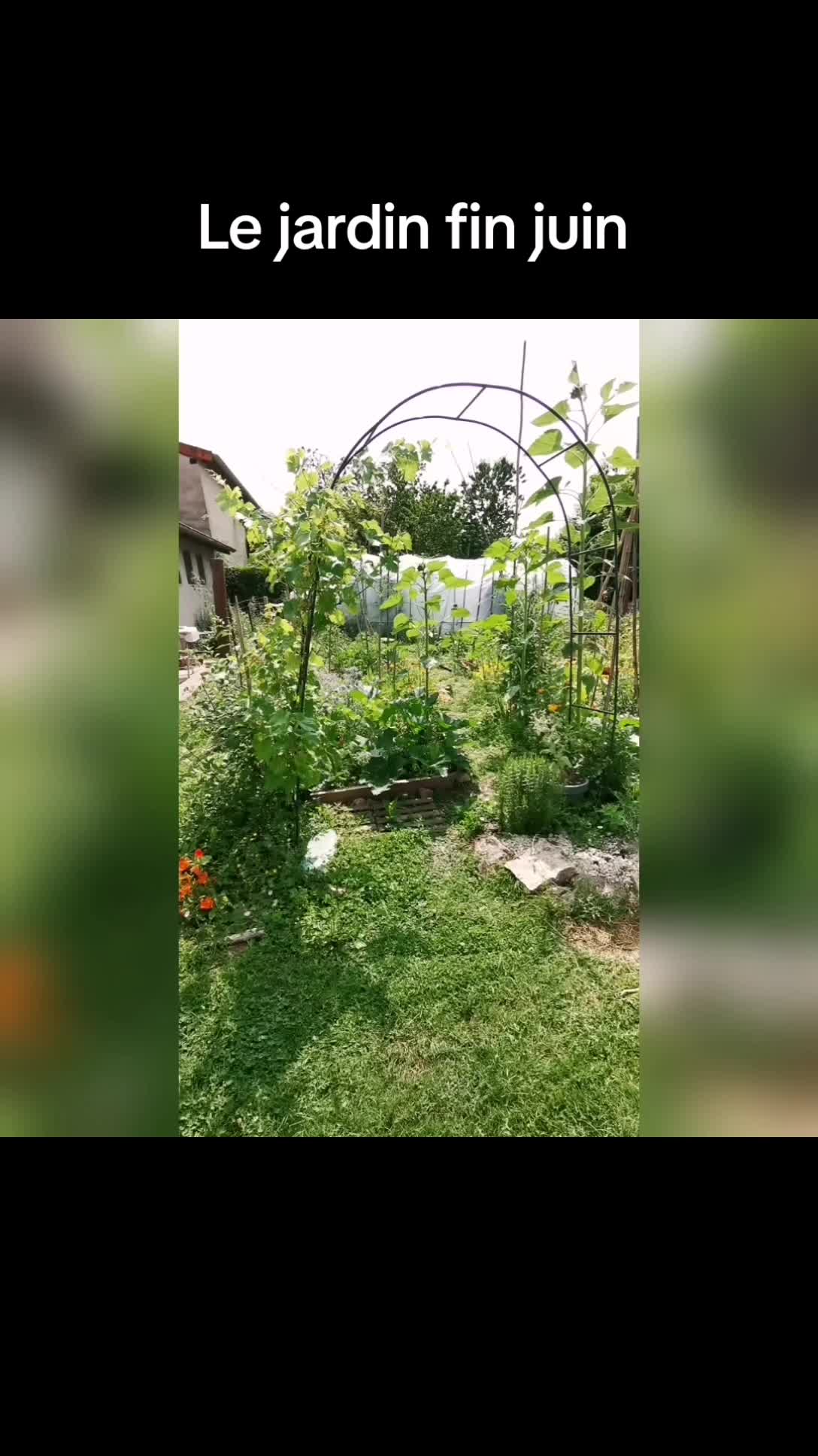 @Miloune au jardin