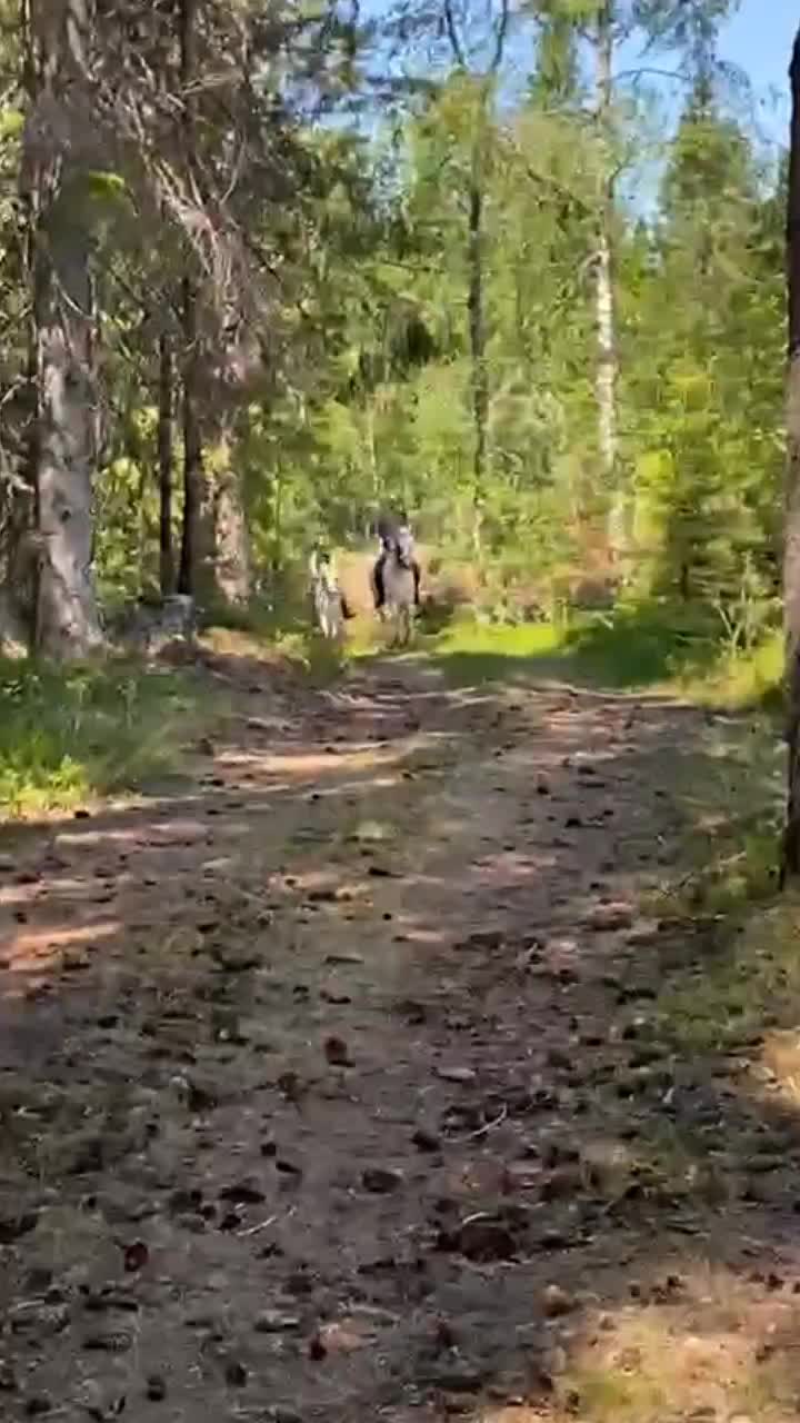 @Följer tbx 110%❤️