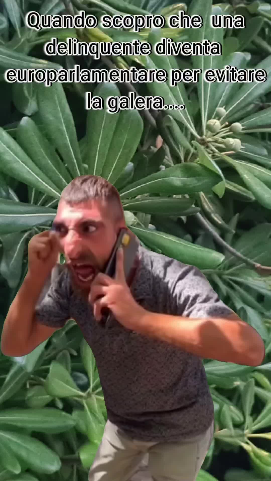 @MarkoDJ