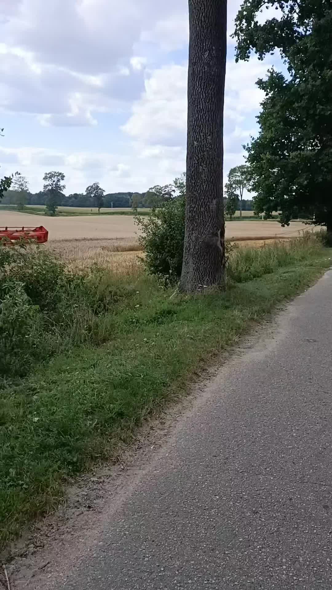 @draggon_97