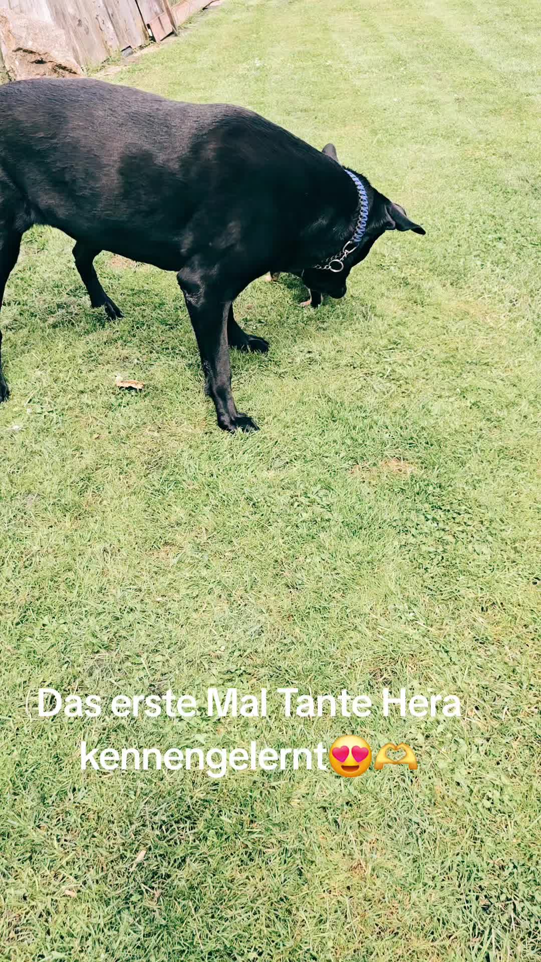 @🐕TiZi❤️🔥