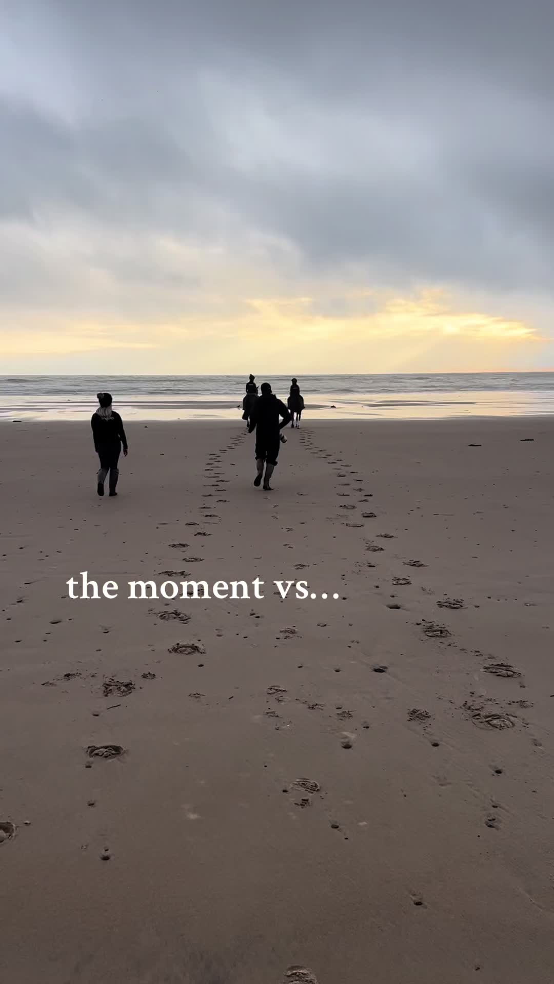 @Yardd | Equine Life Simplified