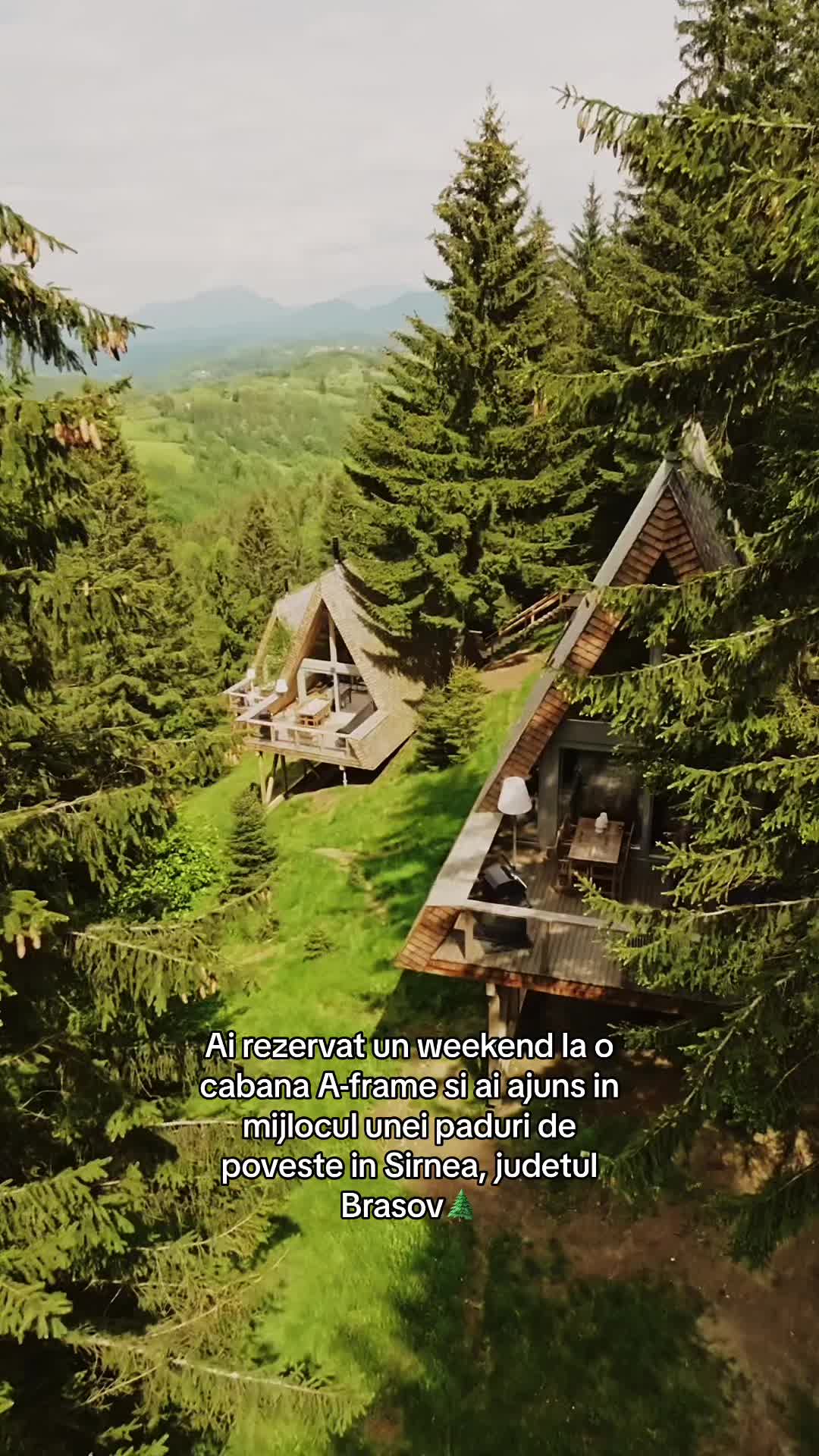 @Strajerii Verzi