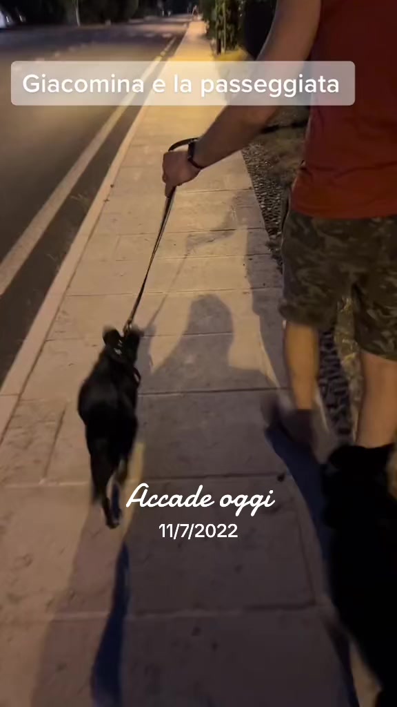 @Giacomina, la vecchia!!