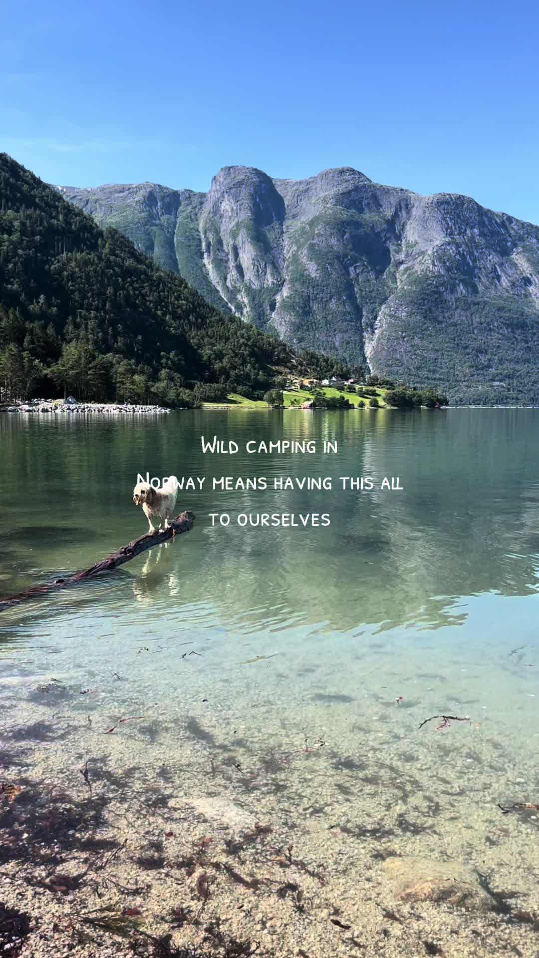 @Adventuringwiththekids