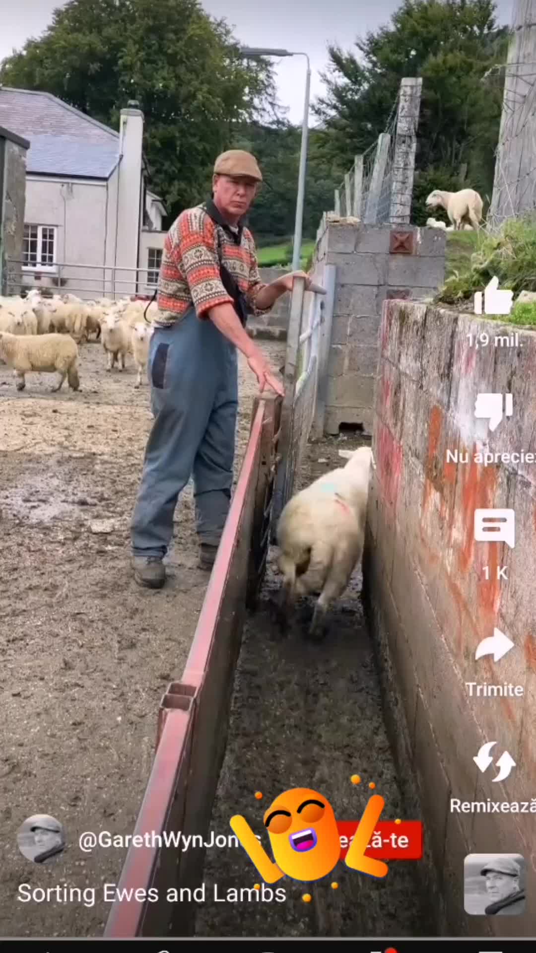 @viralvideo