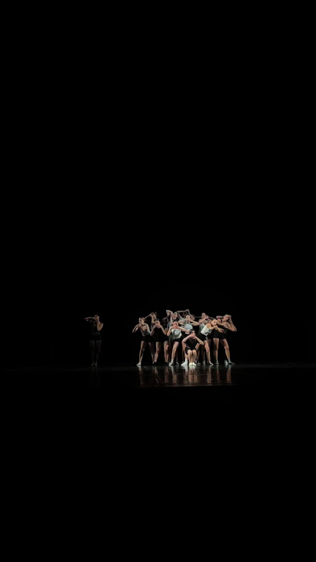 @plesna grupa flame