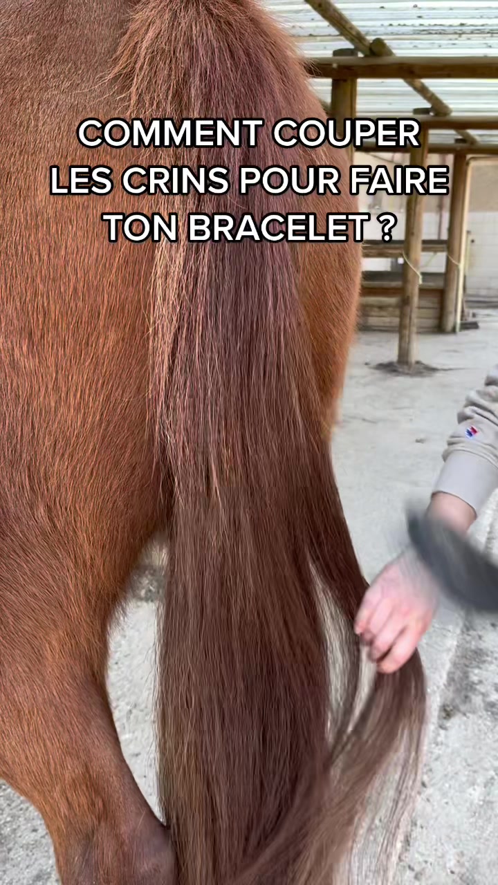 @Autour du Cheval