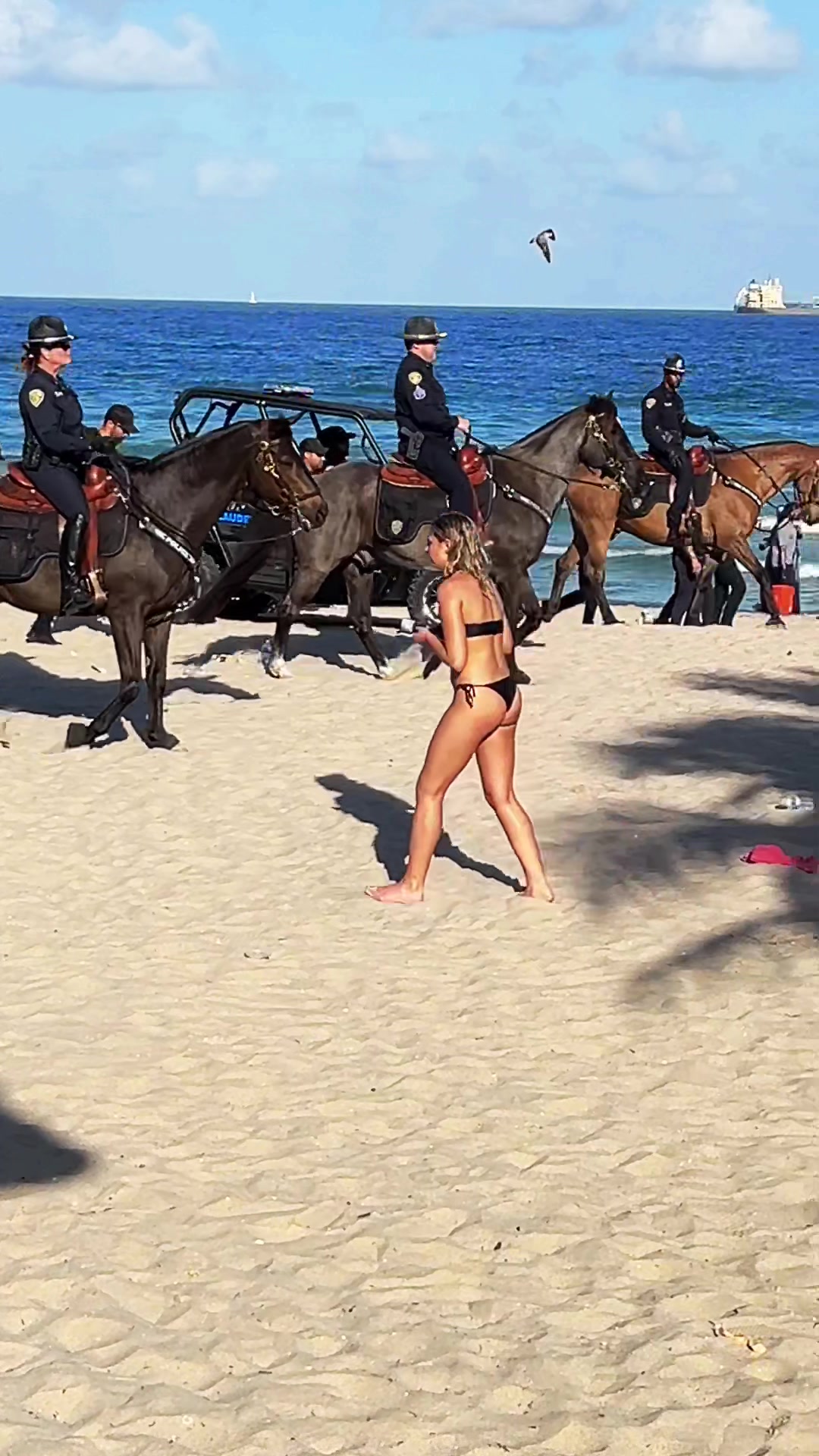 @snapfootage