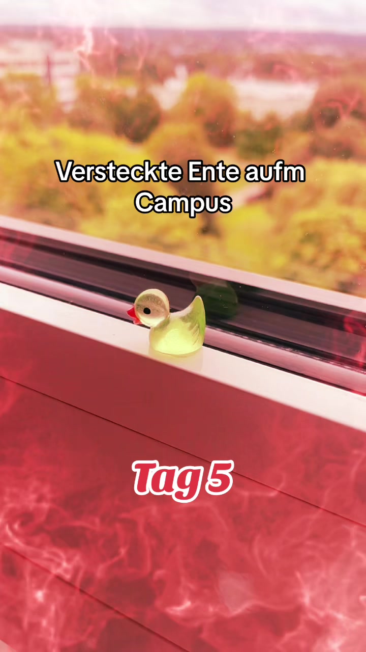 @duckseekdaily