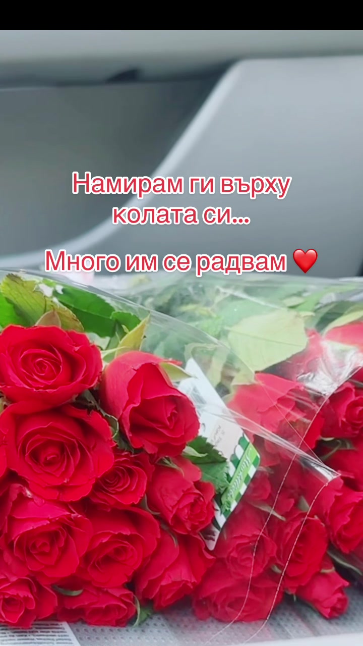 @Theodora Kotseva