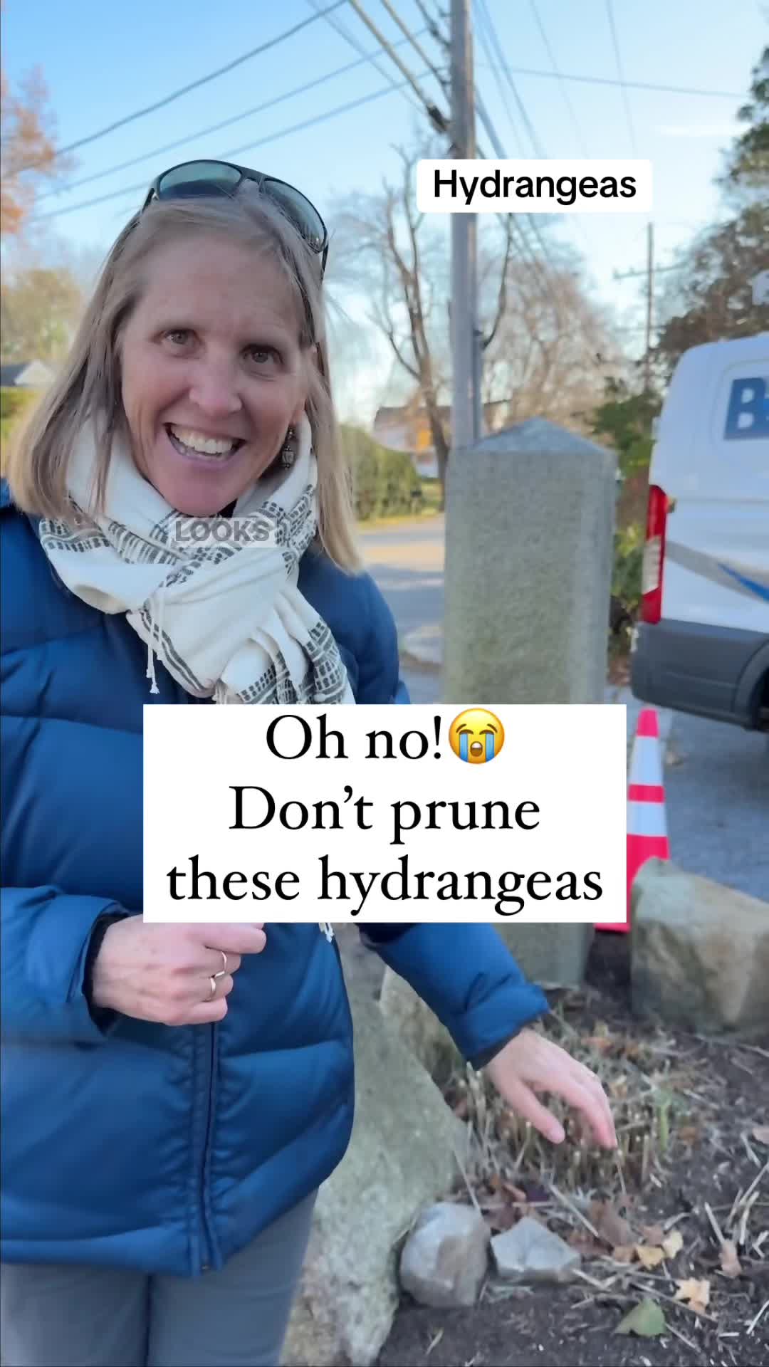 @You Can Do It Gardening