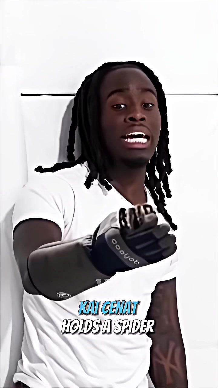 @WifiSite