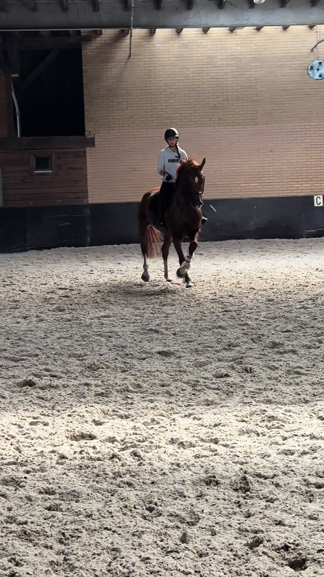 @Sterre Schepers
