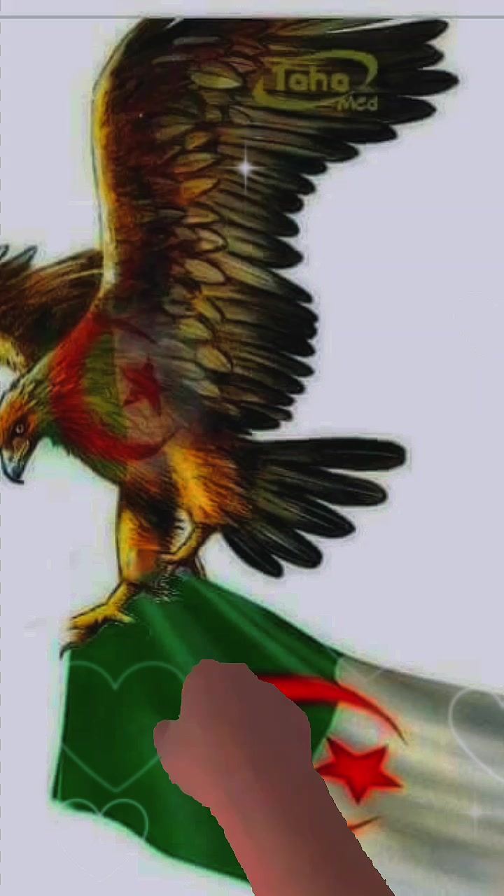 @زورا حسن