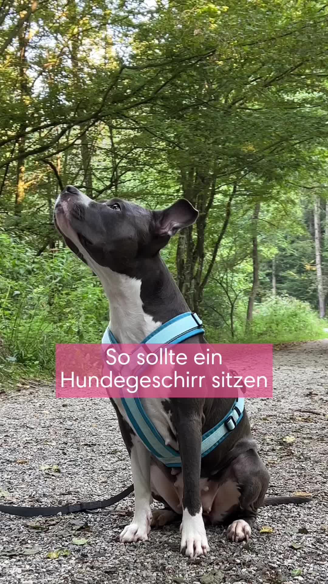 @diefutterbar
