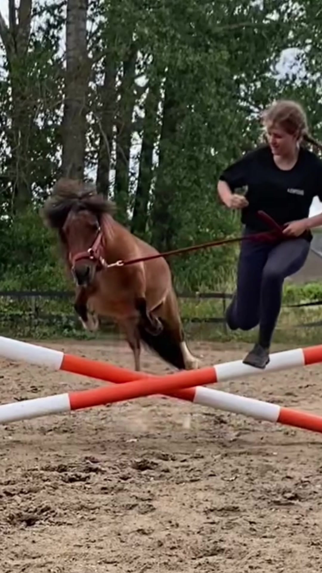 @Jumping Ponies 🔛🔝