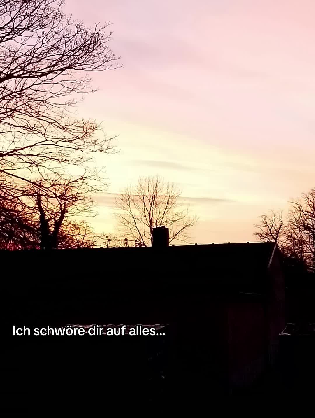 @aliychen.x12