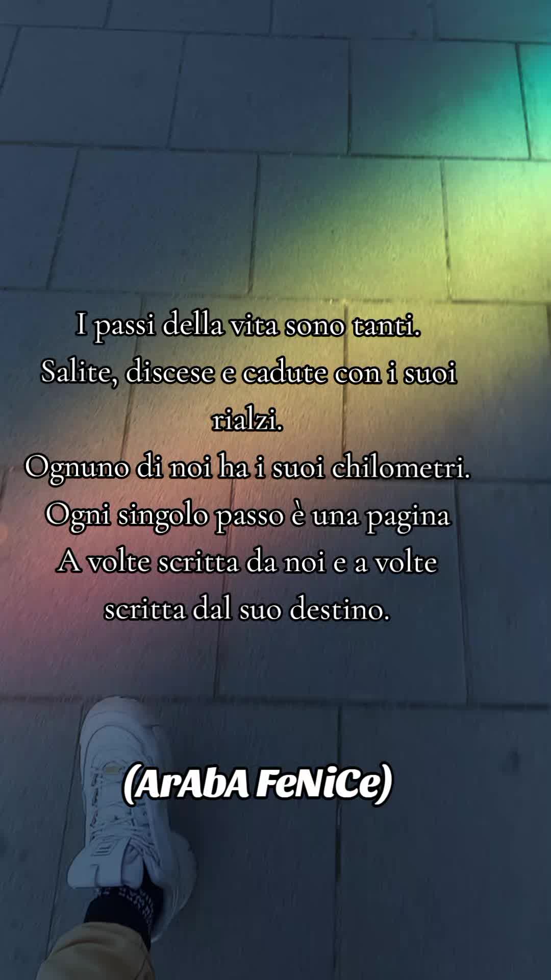 @ArAbA FeNiCe