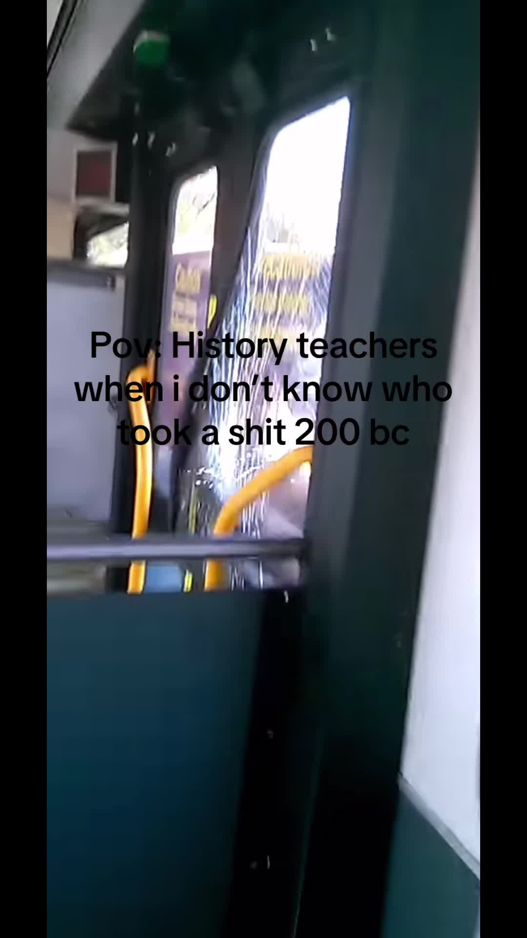 @bearlnplaid