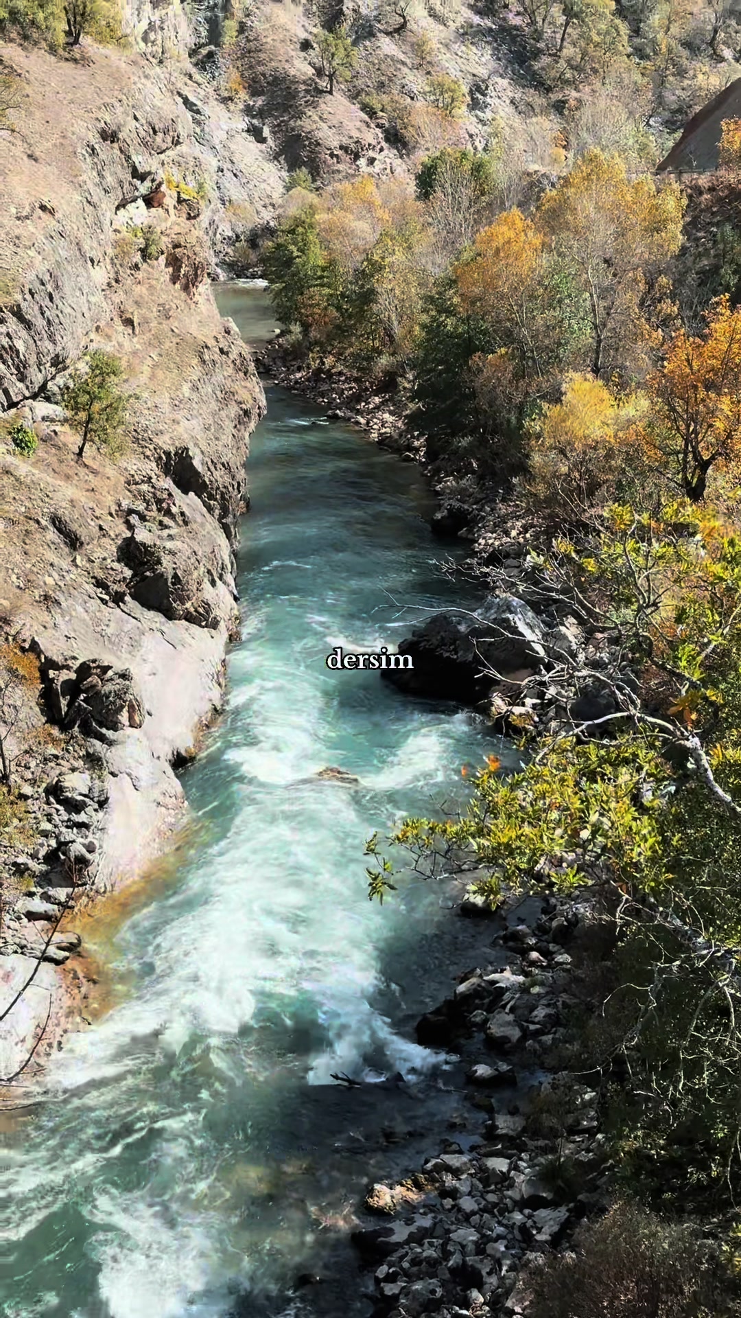@Ceyda