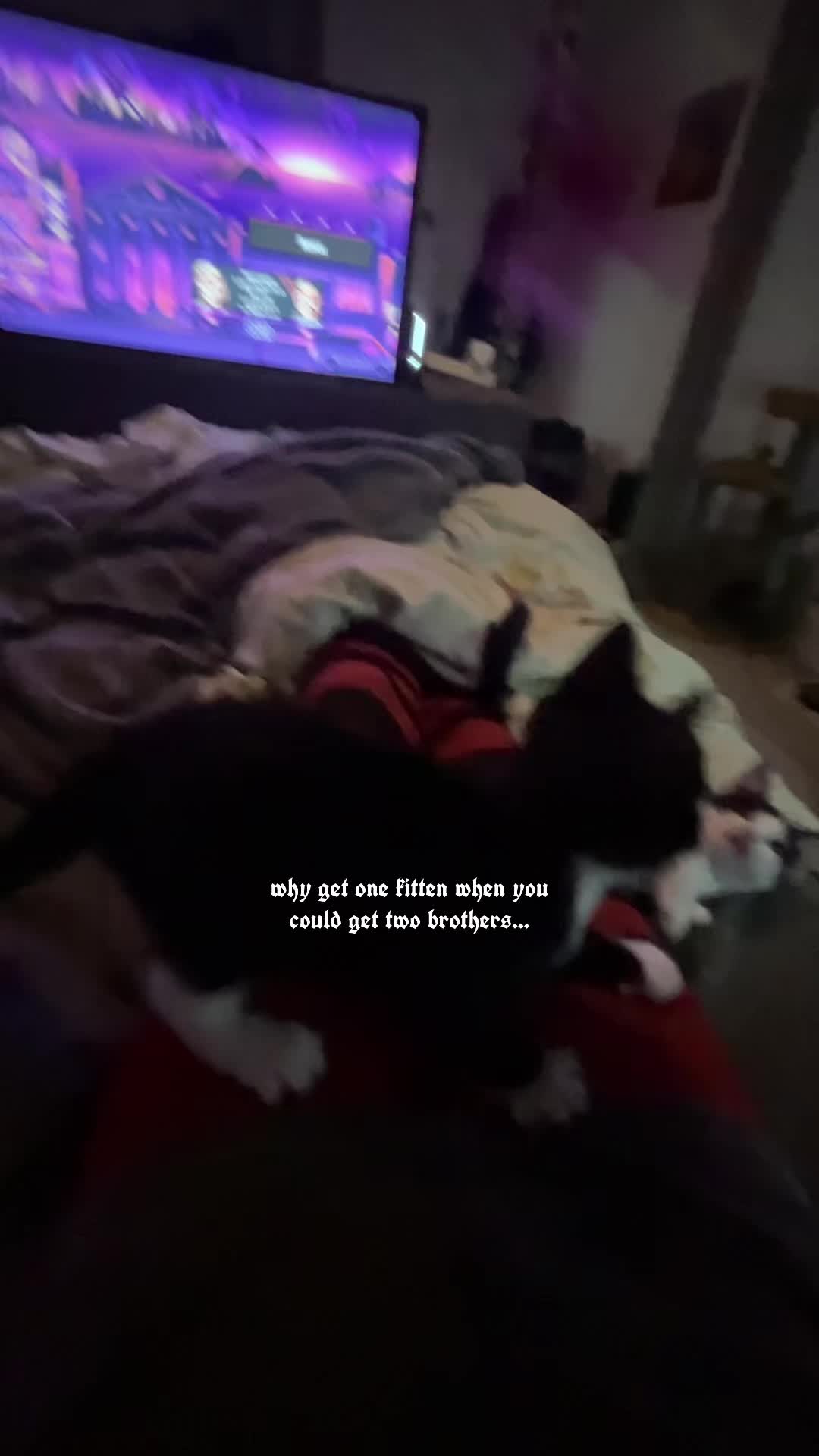 @elhughes