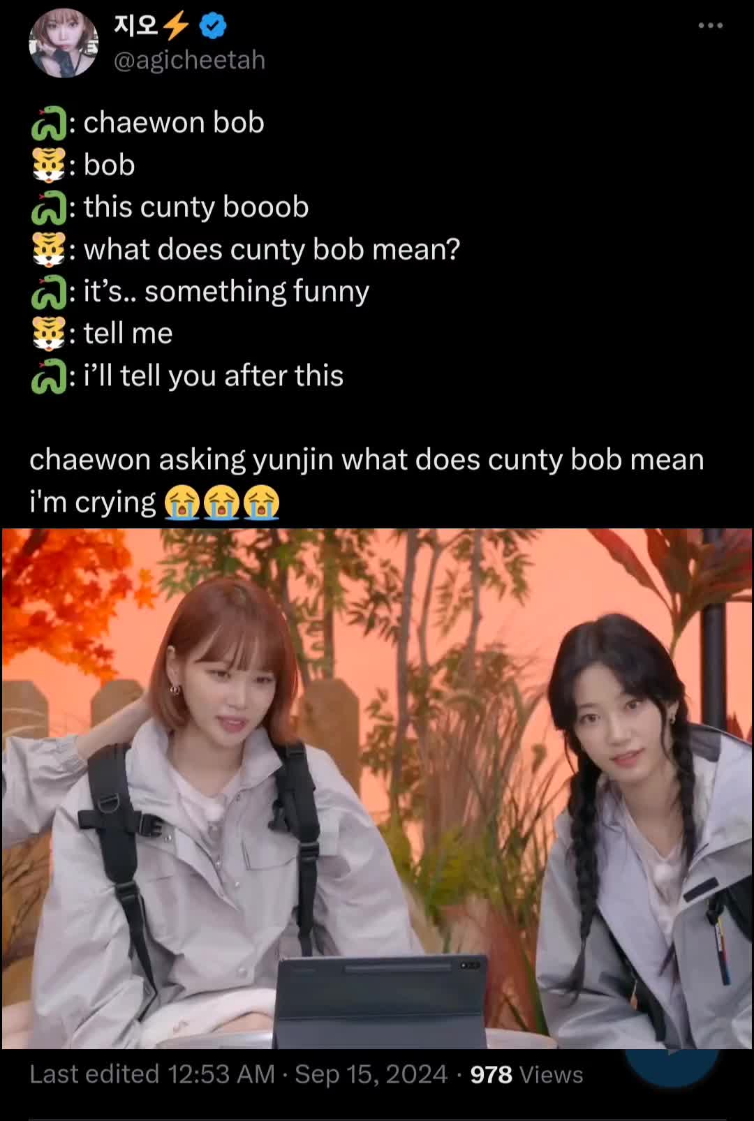 @🐯