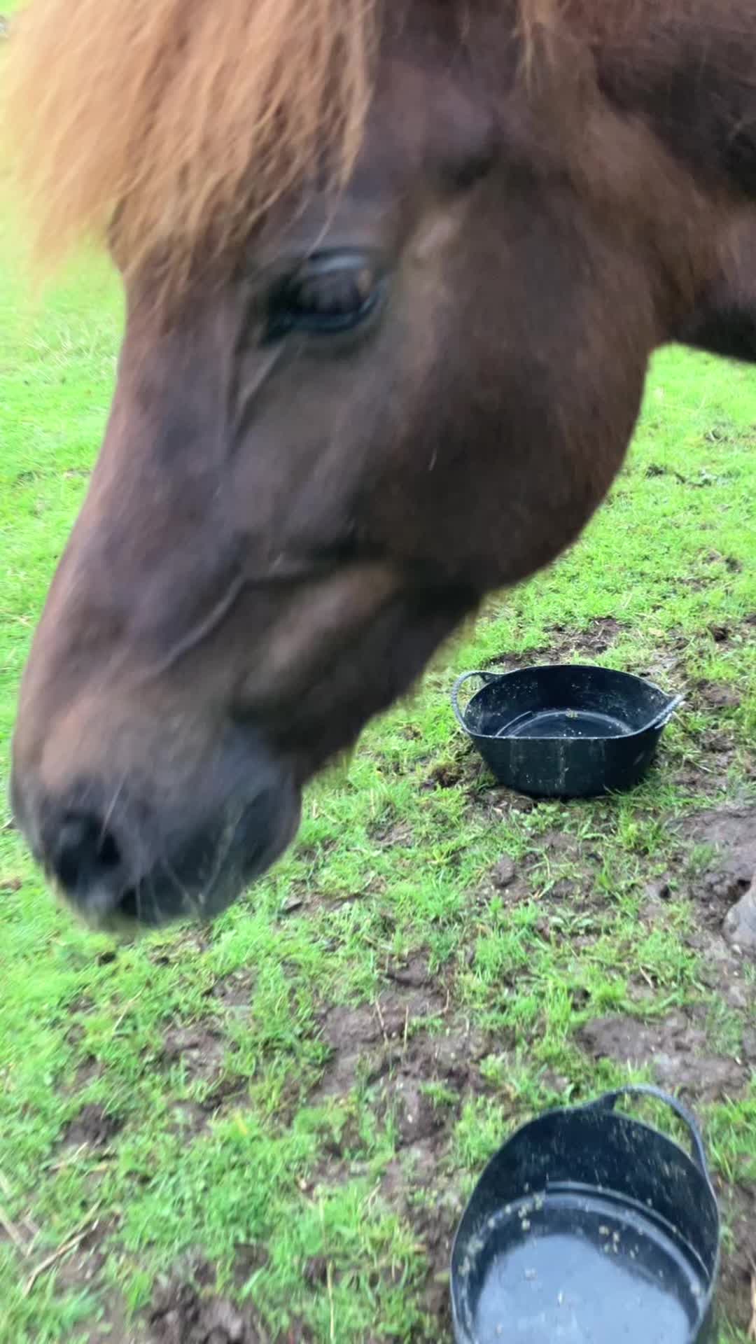@𝓝𝓮𝓵𝓵𝓲𝓮💘