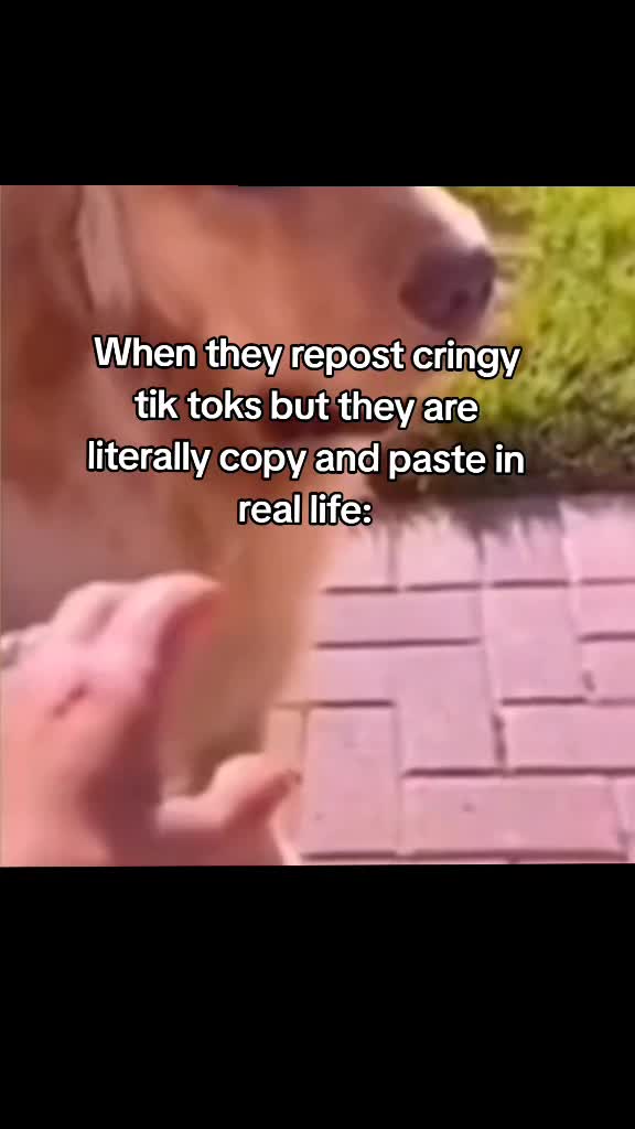 @rottn_dazies.lookjstlku