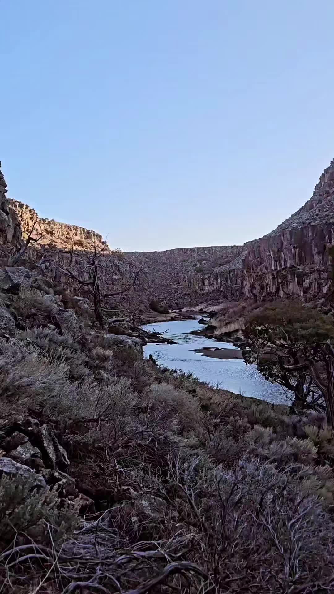 @ChasingTheHighOnFly.NM