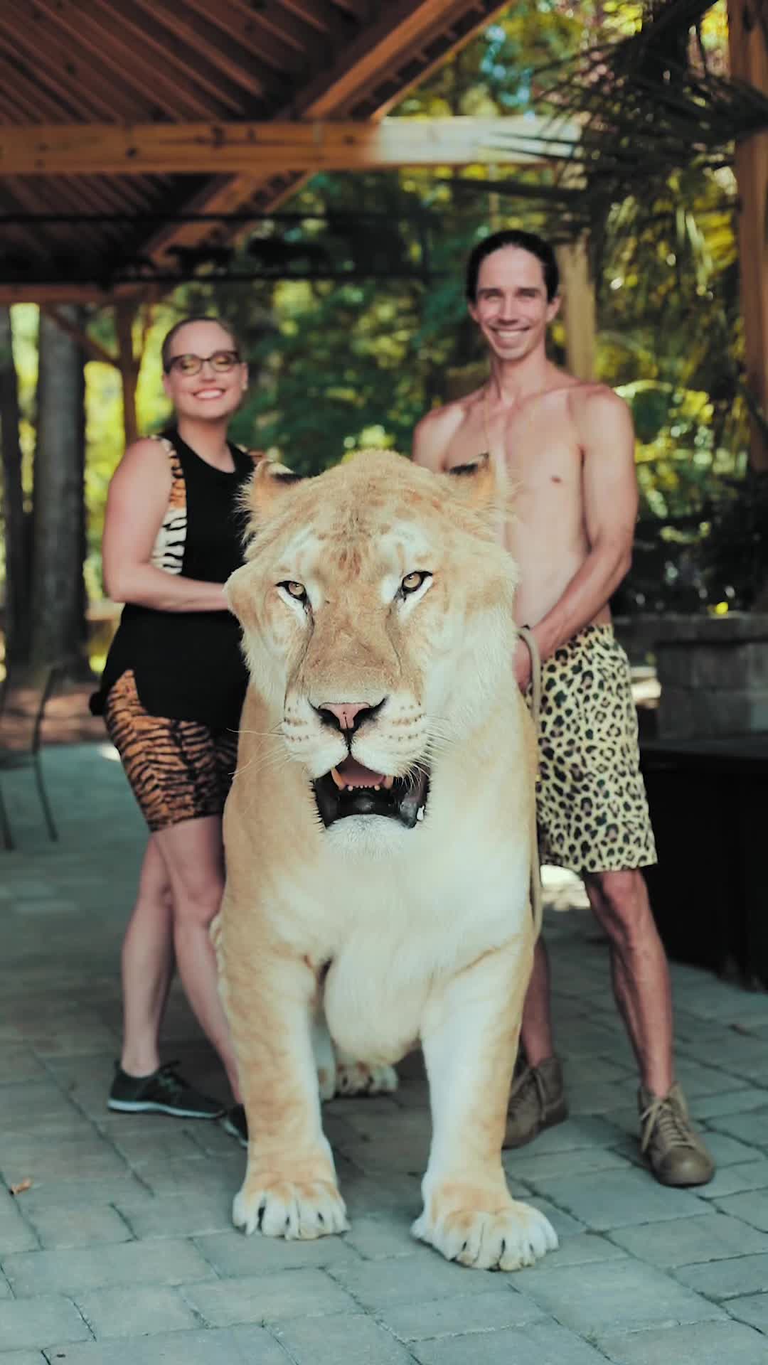 @Myrtle Beach Safari