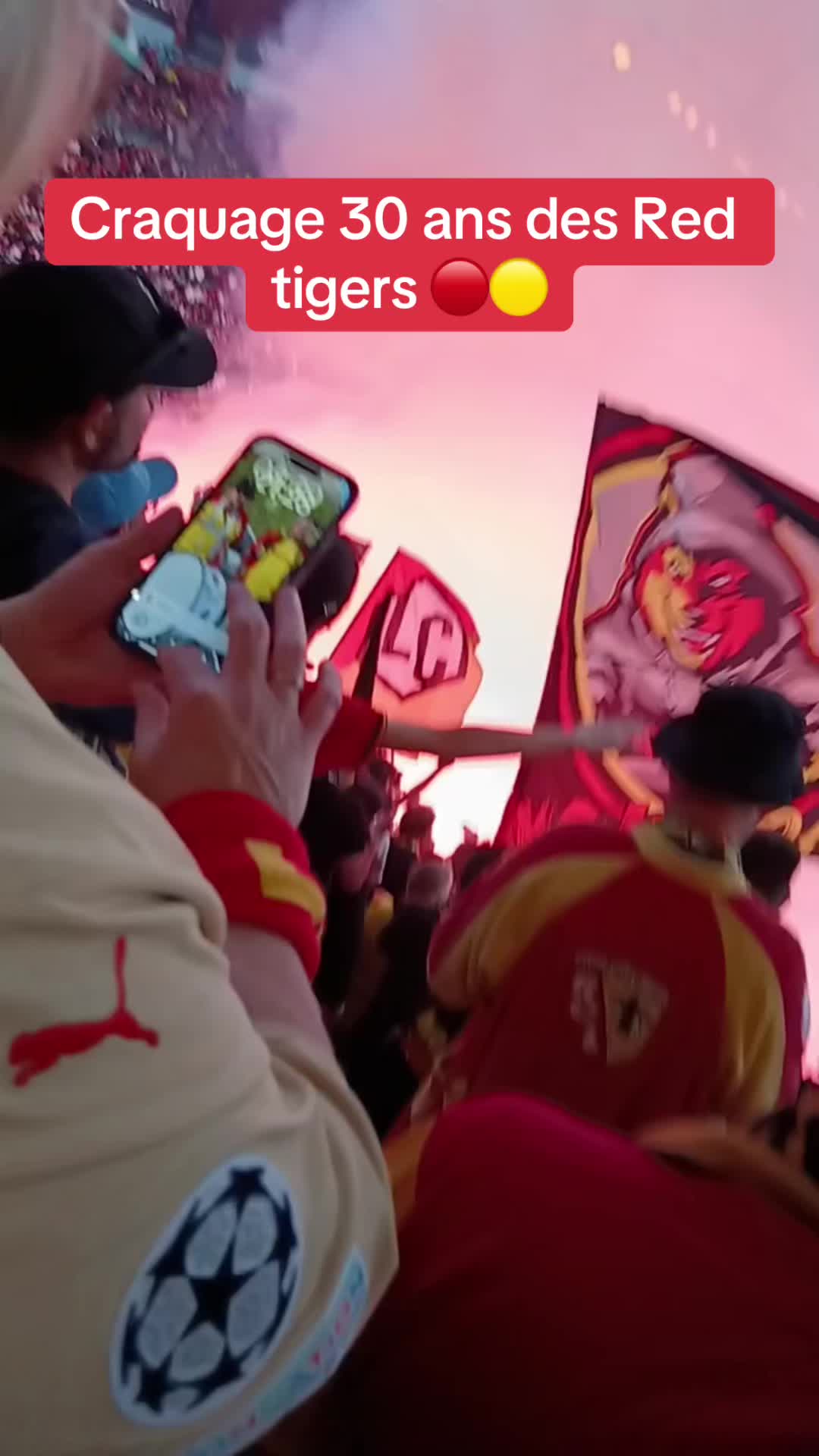 @redifultrasfr